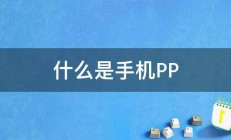 什么是手机PP 