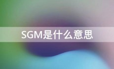 SGM是什么意思 