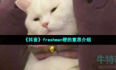 抖音freshman是什么梗-四级英语freshman梗的意思介绍