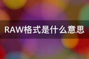 RAW格式是什么意思 