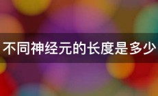 不同神经元的长度是多少 