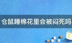 仓鼠睡棉花里会被闷死吗 