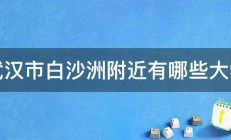 武汉市白沙洲附近有哪些大学 