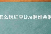 怎么玩红豆Live啊谁会啊 