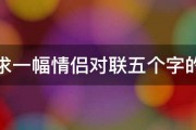 求一幅情侣对联五个字的 