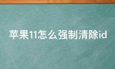 苹果11怎么强制清除id 