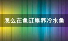 怎么在鱼缸里养冷水鱼 