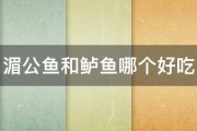 湄公鱼和鲈鱼哪个好吃 