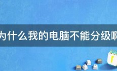 为什么我的电脑不能分级啊 