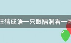 疯狂猜成语一只眼隔洞看一团火 