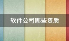 软件公司哪些资质 