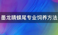 墨龙睛蝶尾专业饲养方法 