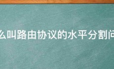 什么叫路由协议的水平分割问题 