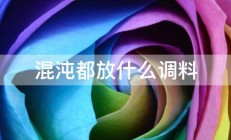 混沌都放什么调料 