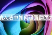 搜狗输入法中如何设置翻页为加号 