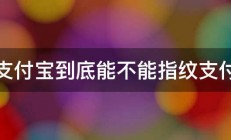 支付宝到底能不能指纹支付 