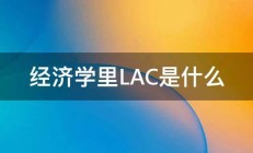 经济学里LAC是什么 