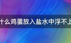 为什么鸡蛋放入盐水中浮不上来 