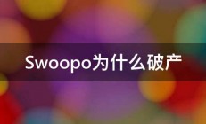 Swoopo为什么破产 