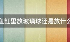 鱼缸里放玻璃球还是放什么 