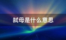 弑母是什么意思 