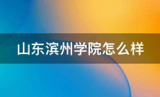 山东滨州学院怎么样 