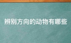 辨别方向的动物有哪些 