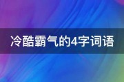 冷酷霸气的4字词语 