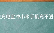 品胜充电宝冲小米手机充不进电去 