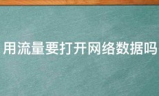 用流量要打开网络数据吗 