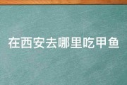 在西安去哪里吃甲鱼 