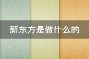 新东方是做什么的 