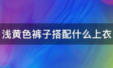 浅黄色裤子搭配什么上衣 