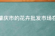 请问肇庆市的花卉批发市场在哪里 