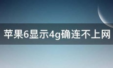 苹果6显示4g确连不上网 