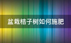 盆栽桔子树如何施肥 