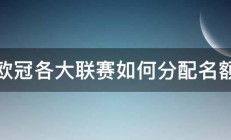 欧冠各大联赛如何分配名额 