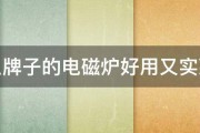 什么牌子的电磁炉好用又实惠啊 