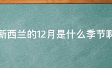 新西兰的12月是什么季节啊 