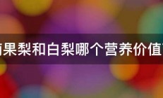 南果梨和白梨哪个营养价值高 