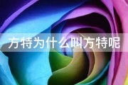 方特为什么叫方特呢 