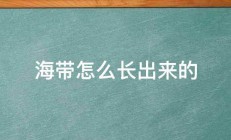 海带怎么长出来的 