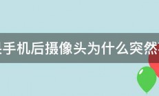 苹果手机后摄像头为什么突然不行 