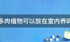 多肉植物可以放在室内养吗 