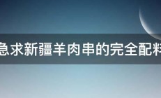 急求新疆羊肉串的完全配料 