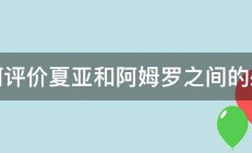 如何评价夏亚和阿姆罗之间的感情 