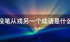 投笔从戎另一个成语是什么 