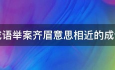 和成语举案齐眉意思相近的成语是 