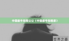 中国最牛包租公公（中国最牛包租婆）