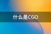 什么是CGO 